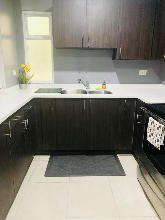 Odyssey On The 5Th - Exquisite Luxury Apt Kingston Eksteriør bilde