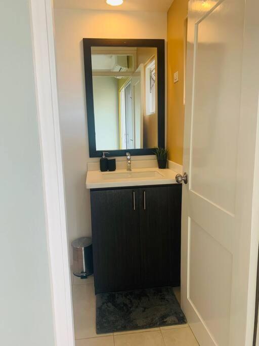 Odyssey On The 5Th - Exquisite Luxury Apt Kingston Eksteriør bilde